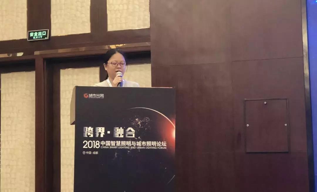 四川省電氣照明學會常務理事長黃云飛女士